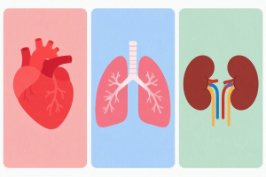 Afbeelding pallia copd en hartfalen-2026-08-31-1.png
